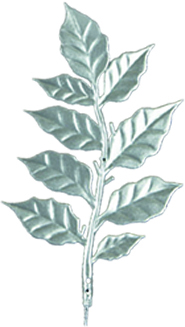 Leaf Branch, 19cm