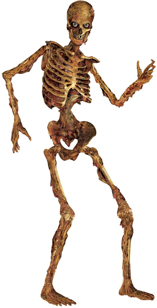 Jointed Skeleton, 1.8m