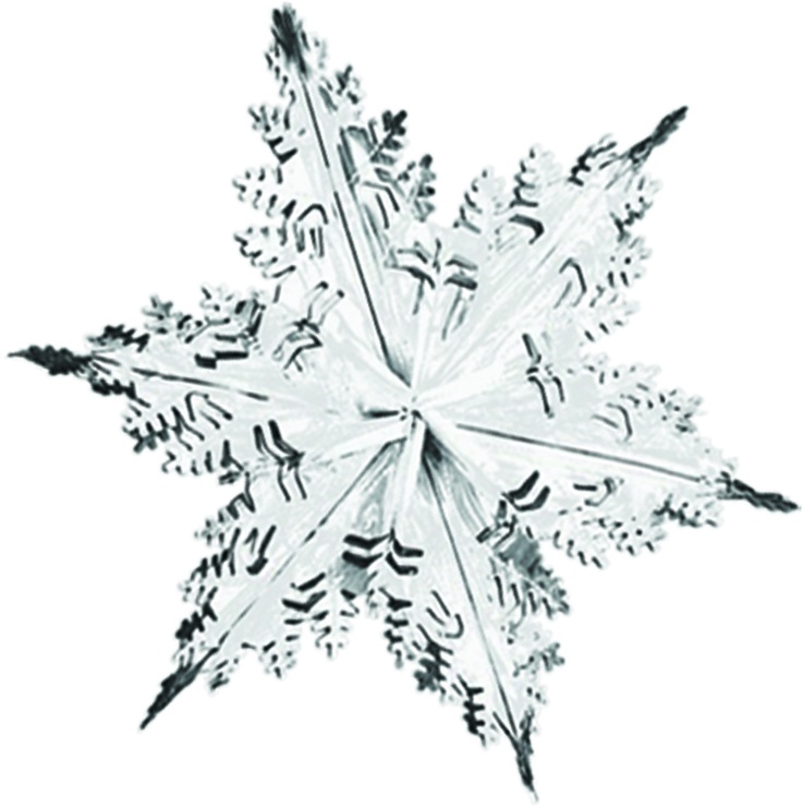 Metallic Snowflake, 60cm