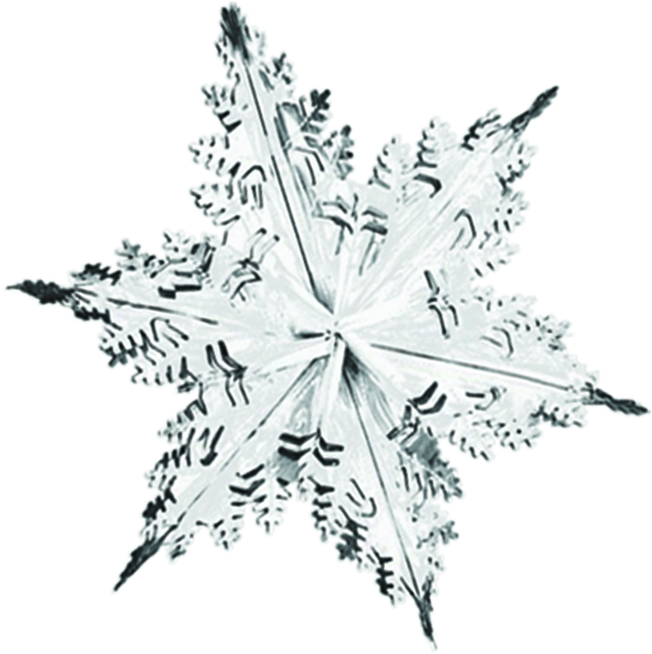 Metallic Winter Snowflake, 60cm