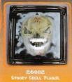 Skull Plaque