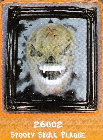 Skull Plaque
