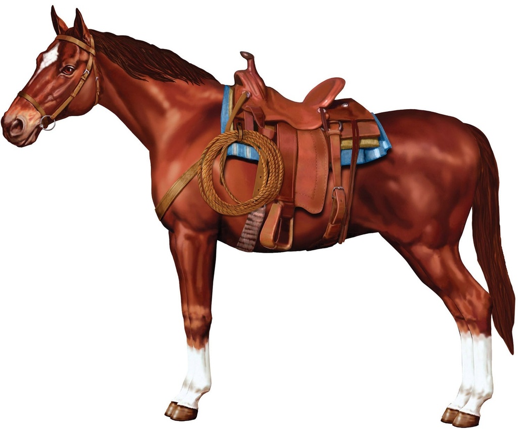 Jointed Horse, 96cm