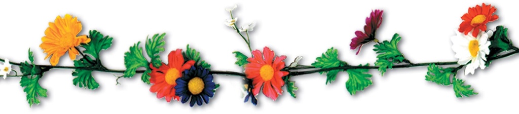 Daisy Garlands, 1.8m