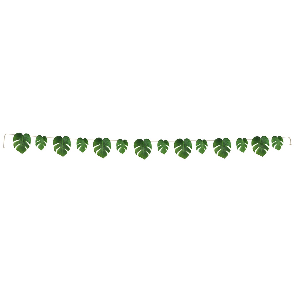 Tropical Leaf Streamer