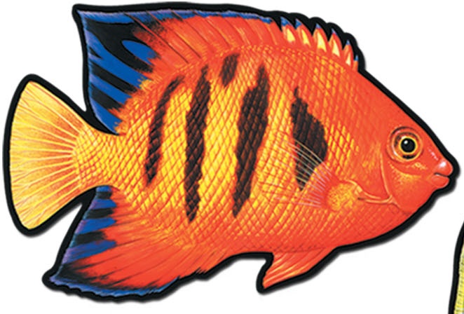 Coral Reef Fish Cutouts, 40cm