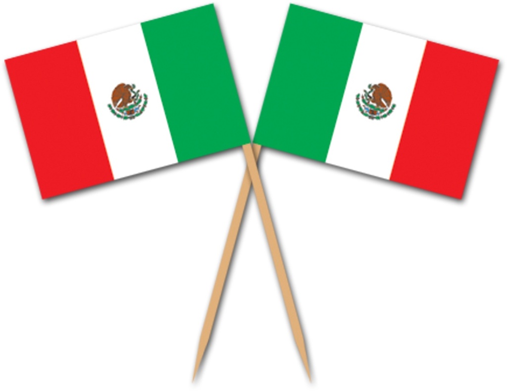 Mexican Flag Picks, 6.5cm