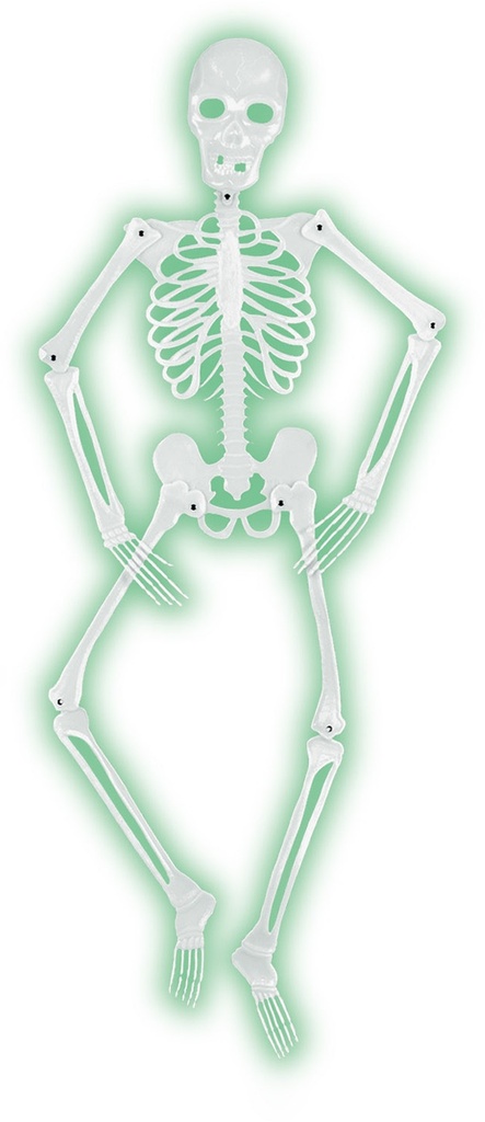 Mr Bones-A-Glo Skeleton, 1.5m