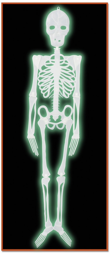 Plastic Glow Skeleton, 1.2m