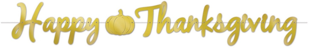 Happy Thanksgiving Streamer