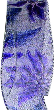 Metallic Ribbon, 6.4m