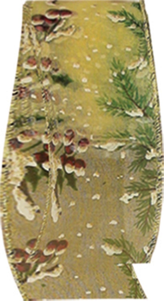 Ribbon Acorn Pine, 9.1m