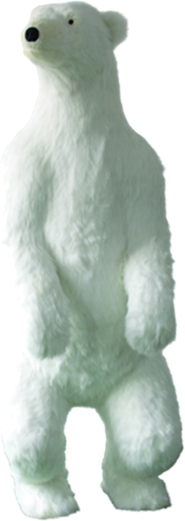 Polar Bear, 1.85m