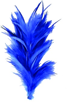 Feather With Clip