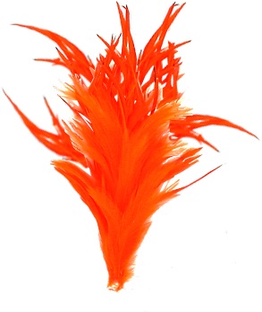 Feather With Clip