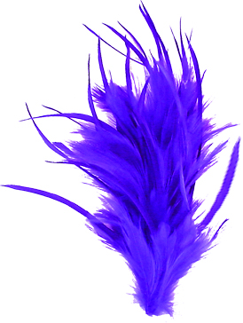 Feather with Clip