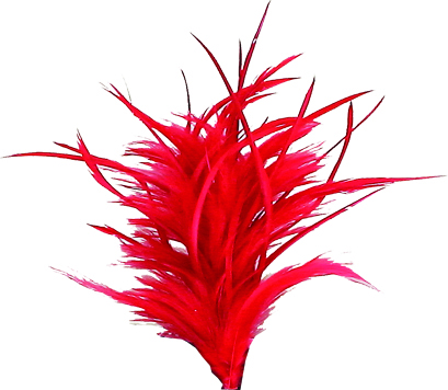 Feather with Clip