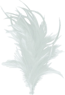 Feather With Clip