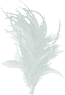 Feather with Clip