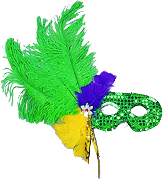 Feather Mask Ribbon Flower Plume