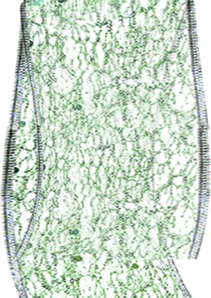 Spider Web Net, 9.1m