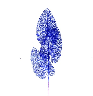 Skeleton Leaf Spray, 69cm