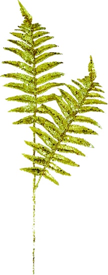 Leaf Spray, 68cm