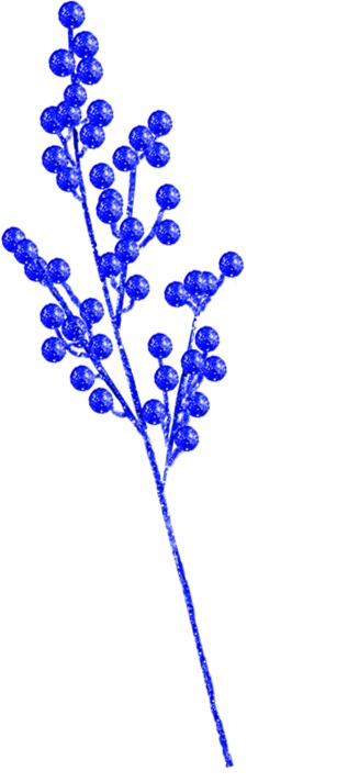 Berry Pick, 70cm