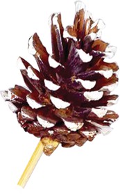 Glittered Pinecone with Stem, 7-8cm
