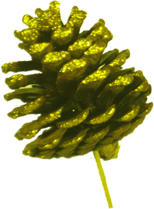 Glittered Pinecone with Stem, 4-5cm