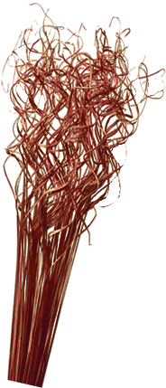 Curly Sticks, 70cm