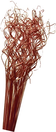 Curly Ting Ting, 70cm