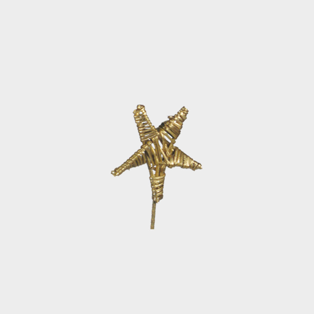 Lata Spiral Wire Star with Stem, 8cm
