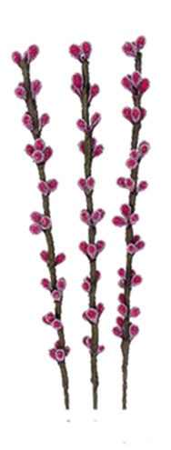 Grape Pick, 30cm