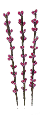 Grape Pick, 30cm