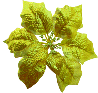 Flower, 18cm