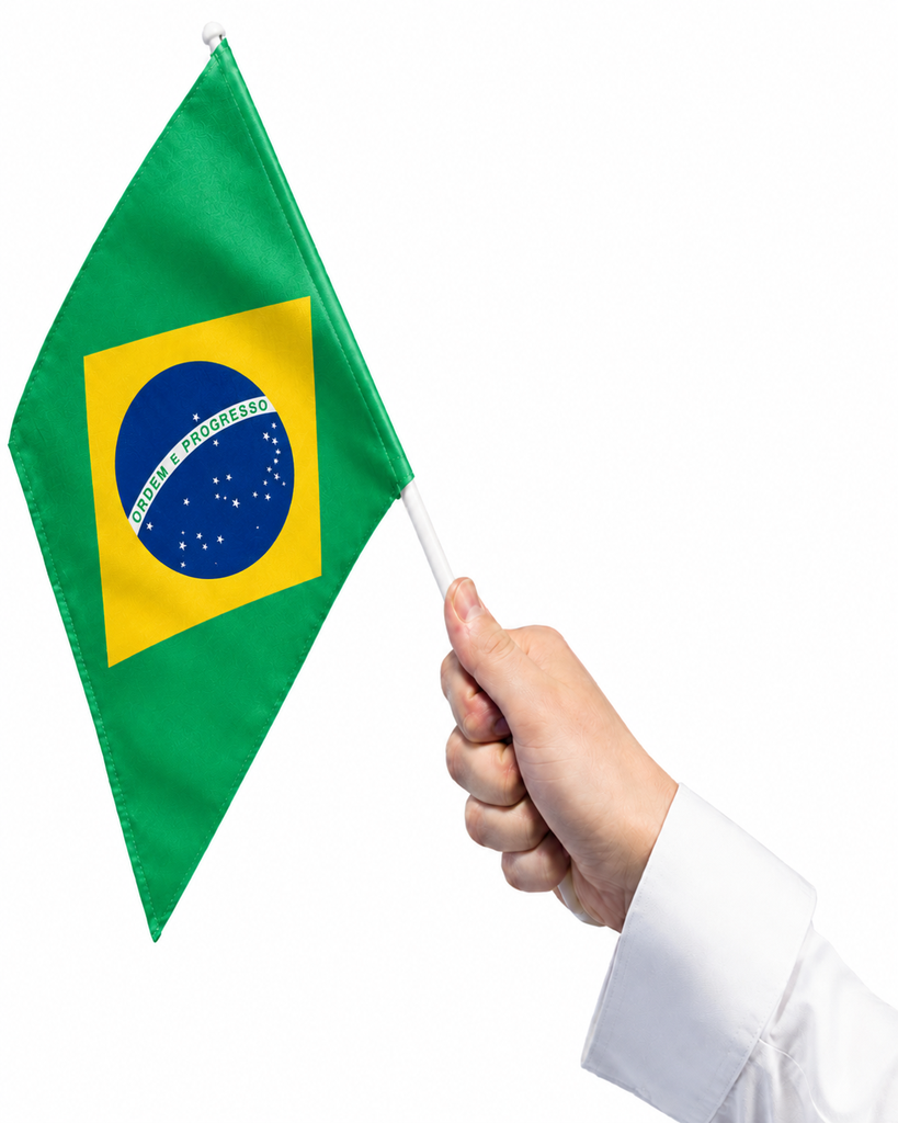 Brazil Hand Flag, 45cm