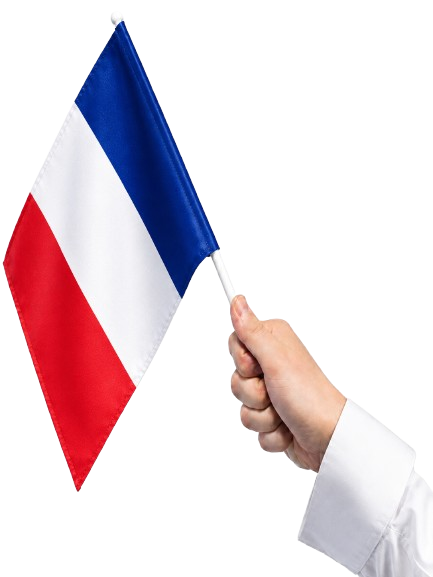 France Hand Flag, 45cm