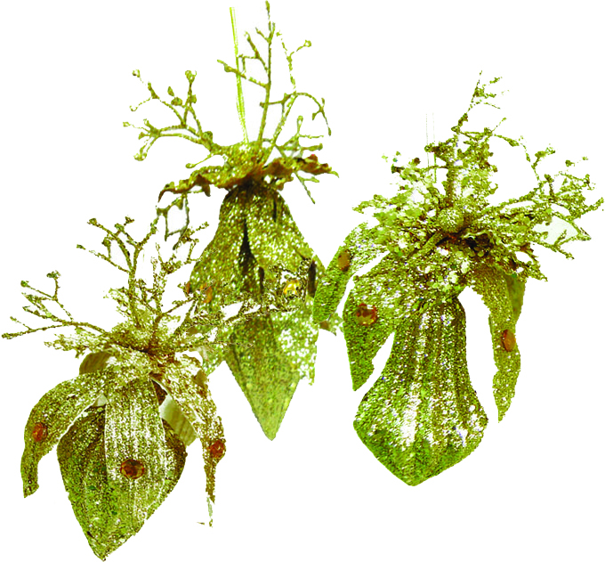 Ornamental Fruit, 18cm
