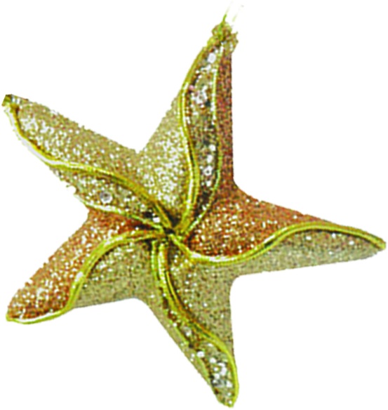 Hanging Star, 12.5cm