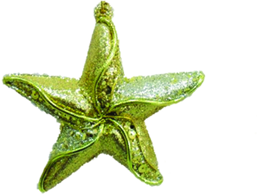 Hanging Star, 12.5cm