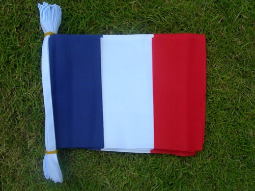 France Pennant Bunting, 9m
