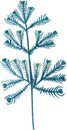 Leaf Pick, 27cm