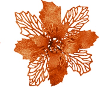 Flower Alternating Petal Poinsettia, 17cm