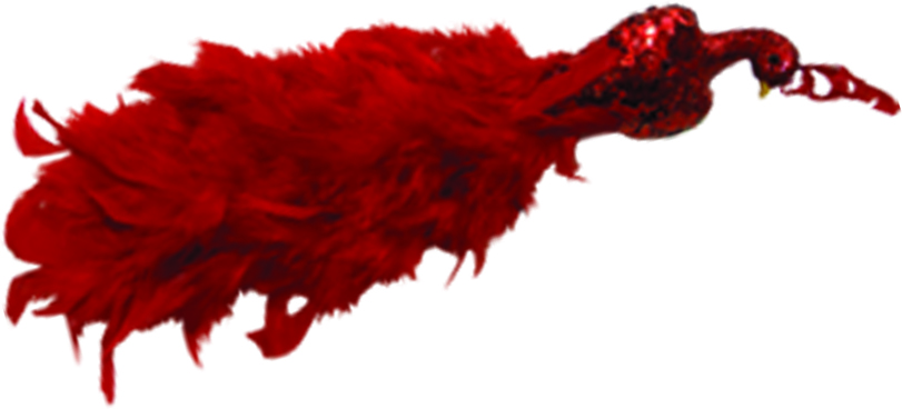 Ornamental Bird, 30cm
