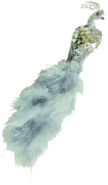Ornamental Bird, 30cm