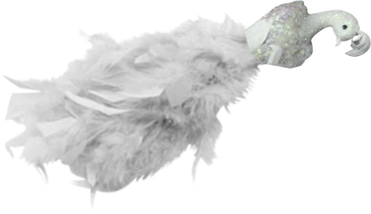 Ornamental Bird, 30cm