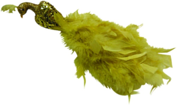Ornamental Bird, 30cm
