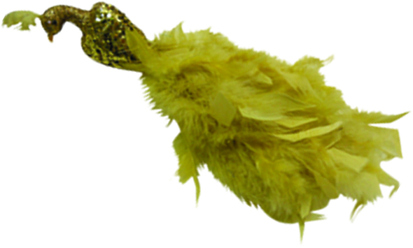 Ornamental Bird, 30cm