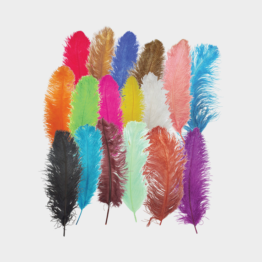 Ostrich Feather, 60cm